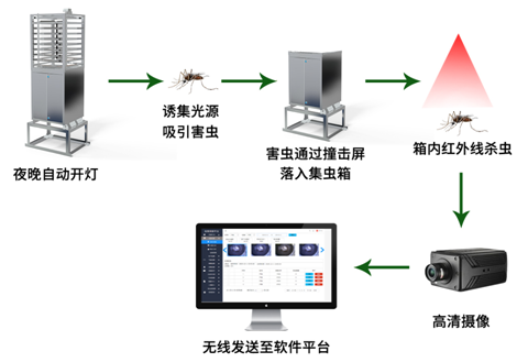 農(nóng)業(yè)蟲情監(jiān)測系統(tǒng)